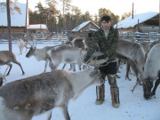Khanty reindeer herder
