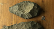 Two large almond-shaped rocks with cutmarks covering their surfaces lie on brown wood with a small metal coin between them.