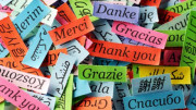 The phrase "thank you" written in different languages on multicolored scraps of paper.